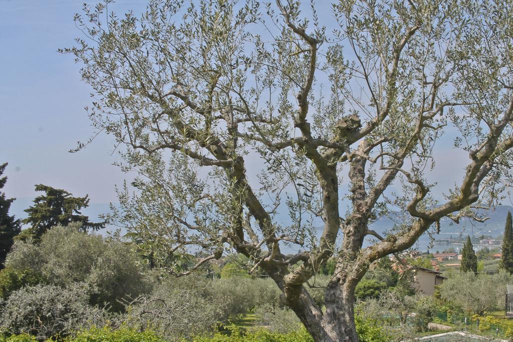 Lovely Villa Elena - Garda Lake Бардоліно Екстер'єр фото